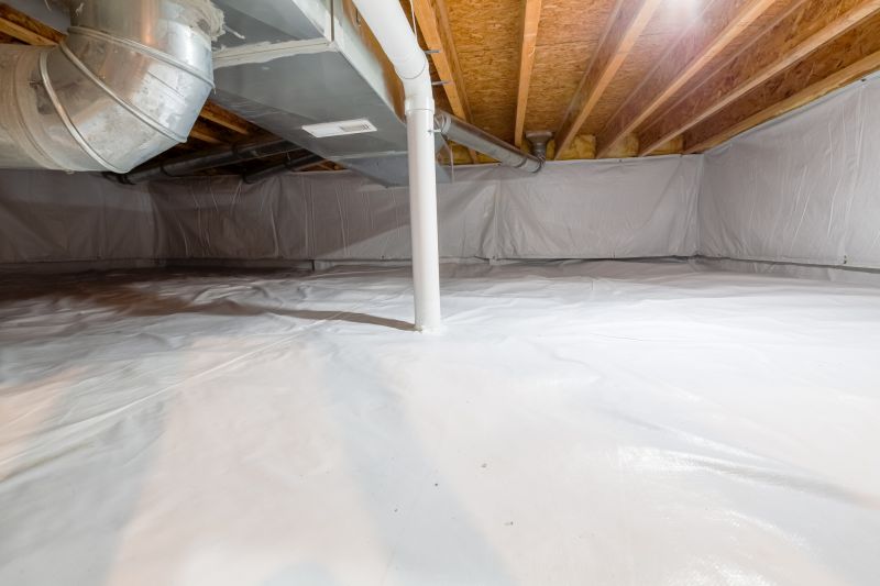 Crawl Space Remediation in Denver, CO