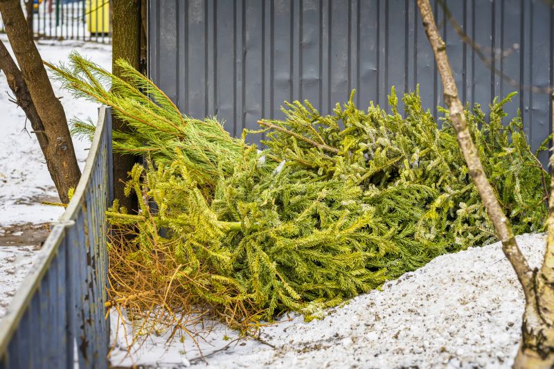 Fence Removal in Spring